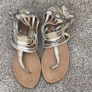 “City Classified” Gladiators